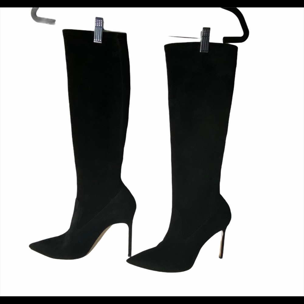 Manolo Blahnik Pascalare Tall Suede Knee High Boot